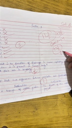 CBSE Copy Checking Reality 😱 | Teachers Kaise Check Karte Hain Board Copies? #cbseresult2026 #cbse