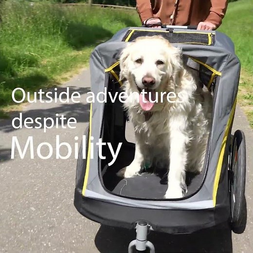 Why a Stroller Is Ideal for Your Dog