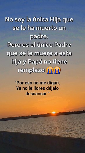 647K views · 9.1K reactions | Te lloraré siempre papi, por cada recuerdo, por cada risa, por cada chiste que alguna vez contaste, con cada historia con todo y por todo hasta que ya no me queden lágrimas o hasta que ya no me quedé aliento te amo papi y te extraño muchísimo  | DiYor Godinez | Facebook