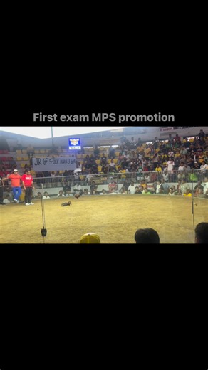 Hgg Gamefarm on Reels