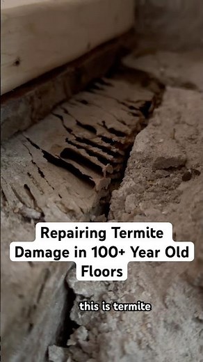 Termites ATE My Fireplace Subfloor! (Repairing for Tile Prep)