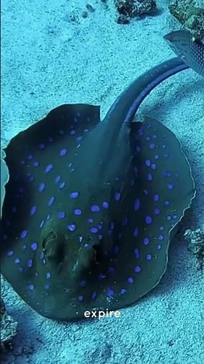 COHERENCE CARDIAQUE RELAXATION