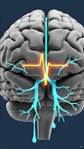 Why Standing Up Too Fast Makes You Dizzy 🧠🌀 (Orthostatic Hypotension)