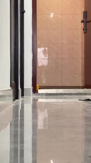 Funny and Cute Cat Videos from TikTok