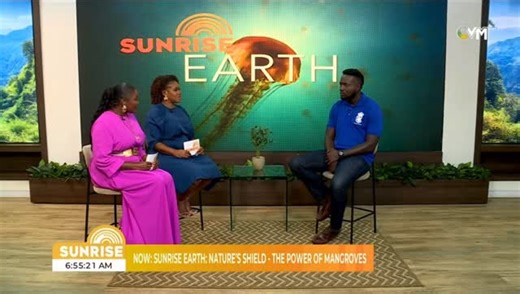 🌿 They’re quiet protectors — but mangroves are some of Jamaica’s strongest natural defences against hurricanes. Marine Biologist Jaedon Lawe joins us to explore how these coastal forests safeguard lives, shorelines, and marine life — and why restoring them is key to our climate resilience. Let’s protect nature, because nature protects us. #SunriseCVM #SunriseEarth #ClimateAction #MangroveRestoration #HurricaneMelissa #CVMTV | CVM Television