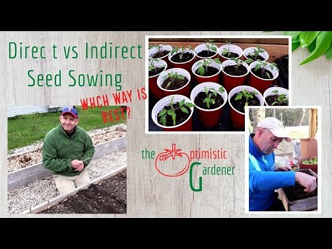 Direct vs Indirect Seed Sowing