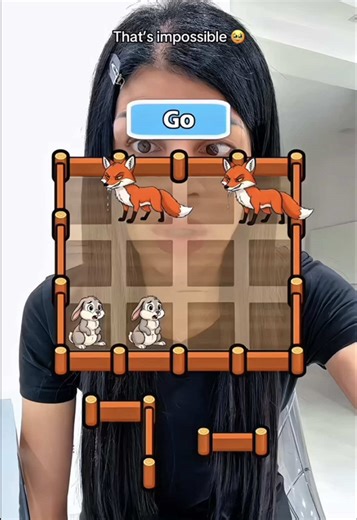 The Hardest Filter Challenge with Help Rabbit!