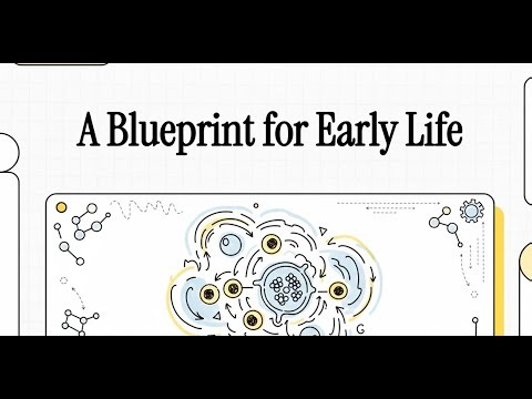 Monkey Embryo Models: Unlocking the Secrets of Late Gastrulation
