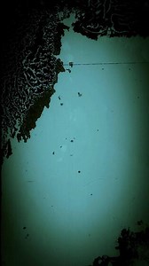 Download Vintage Film Leader with Dust, Scratches, and Grunge Effects for free