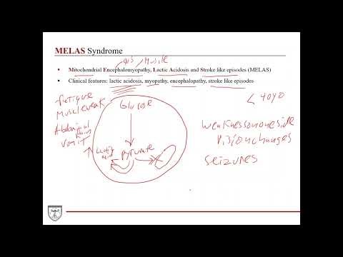 Mitochondrial Diseases [Clinical Biochemistry 3 of 8]