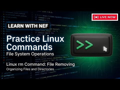 Practice Linux Commands - Linux rm Command: File Removing & Organizing Files and Directories
