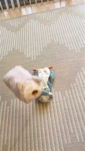 tickle time