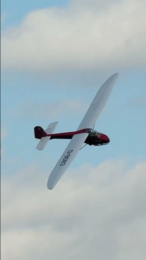 Doppelraab IV | 4,1m scale RC glider LANDING #rcglider #rcsailplane #aviationcz