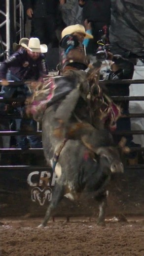 😨Cowboy got TANGLED on the BULL! #rodeo #rodeo #cowboys #agro #countrymusic