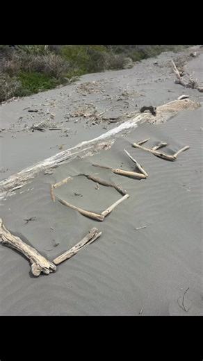 Two houses. Two huge celebrations. One very big weekend! From wedding bells to 50th birthday cheers, we loved being part of it all. #sadieswoon #wedding #caravanbar #partyathome #birthday | Sadie Swoon - Caravan Bar