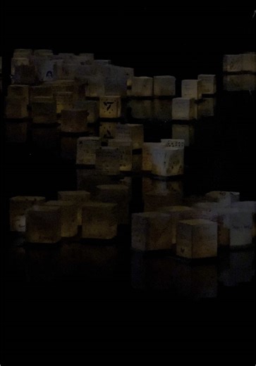 San Jose Lantern Festival ✨