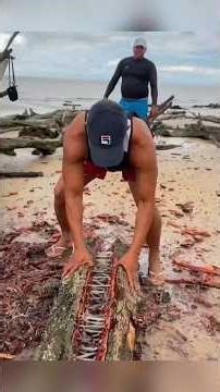 Loại côn trùng này có CẮN NGƯỜI KHÔNG? #khampha #giaitri #facts