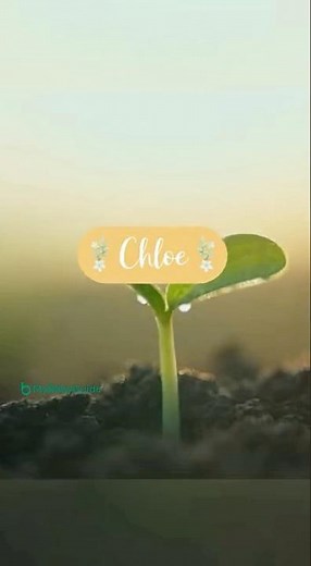 🌼 Chloe — Meaning “Blooming” | Baby Name Story | MyBabyGuide