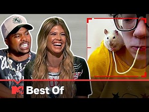 Ridiculousnessly Unusual Pets In Action 🐀 Ridiculousness