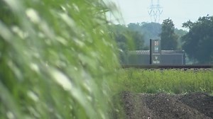 Trump: Coca-Cola to Use Real Sugar in U.S. and what it means for Louisiana