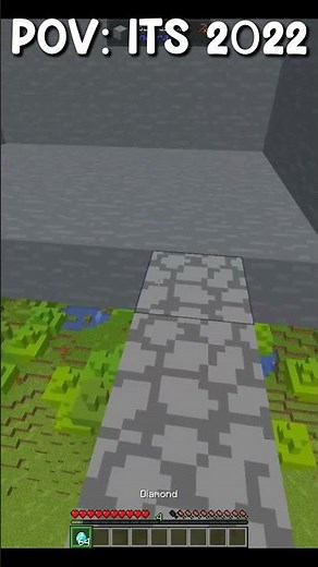 Minecraft in 2022 be like