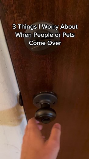 Nothing. The answer is nothing. 🙃 #rugtok #dogsoftiktok #cleantok #hostinghacks #rugtok #washablerugs #rugtiktok