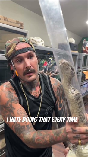 Medicating the Most Toxic Venomous Snake I Own DAY 4 😳😱💉