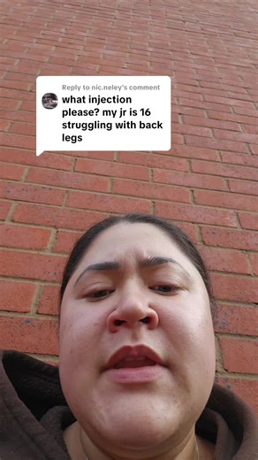 The Magic Potion for Senior Dogs