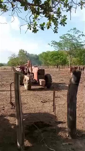 Félix Gabriel@2024 on TikTok