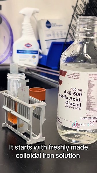 Prussian Blue Reaction Using Colloidal Iron Stain