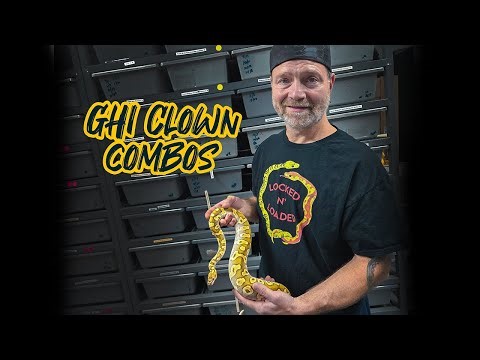 GHI Clown combos