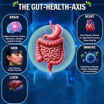 🧠❤️🌿 How Gut Health Connects to the Brain, Heart, Skin & More!🦠