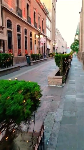 #Linda calle san luis #Potosí diciembre 2025 🎄🥰