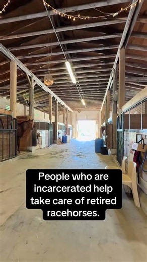 Farm offers incarcerated men chance to work with retired racehorses
