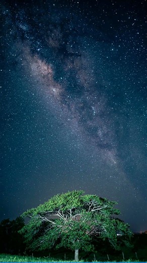 Why Earth Has Life — Our Sun Escaped the Galaxy's Death Zone