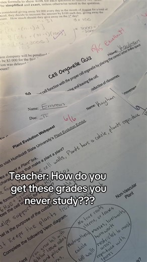 ALL I DO!! #study #studleyai #studytok #xyzbca