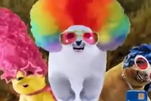 Radio Disney with The Dawgz On the Radio | Commercial | Retro Junk