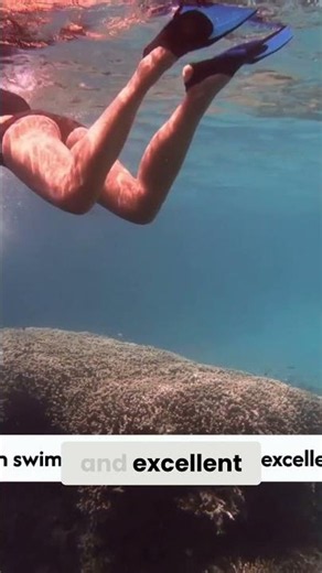 Secrets Akumal: Mexico's Paradise Beach Heaven You NEED to See! #shorts