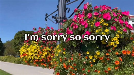 I'M SORRY - Brenda Lee (1960) | MUSIC of MY LIFE