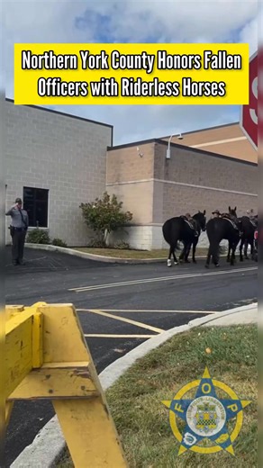 5.4K views · 254 reactions | The riderless horses, boots facing backward in the stirrups, represent Sergeant Cody Becker, Detective Mark Baker, and Detective Isaiah Emenheiser of Northern York County Regional Police. The horses were escorted by a line of police cars in a solemn tribute. #LawEnforcement #PoliceMemorial #PoliceHeroes #BackTheBlue #FOP #OfficerSupport #NeverForget #ThinBlueLine | National Fraternal Order of Police | Facebook