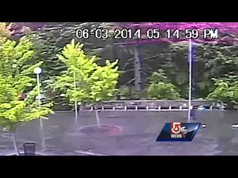 Lightning striking tree caught on camera