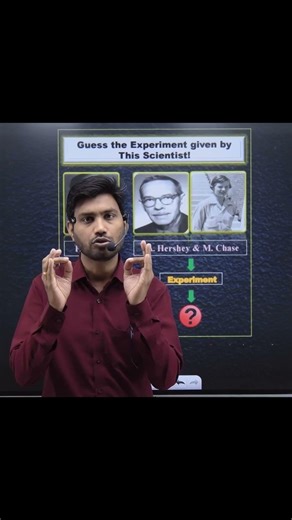 Scientist Experiments