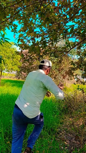 Transform Your Home with These Cool Tools! 🔧 #shorts #gadgets" 116.