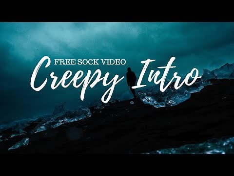 Creepy Scary Intro / Dark Forest FREE STOCK VIDEO