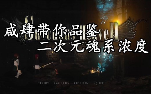 【绅海遨游】咸肆带你品鉴二次元魂系浓度《Succubus Heaven》