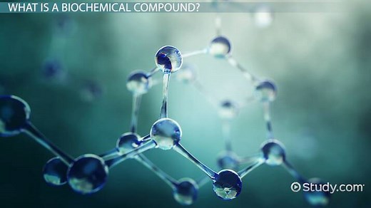 Biochemical Compounds | Definition, Classes & Uses