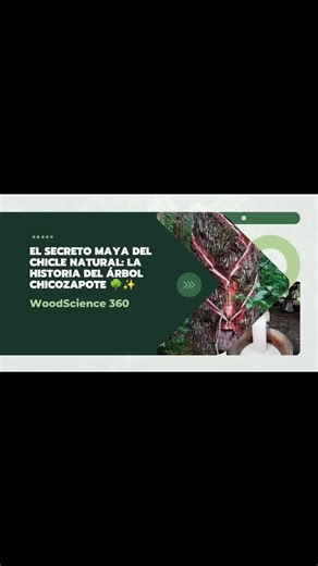 WoodScience 360 on TikTok