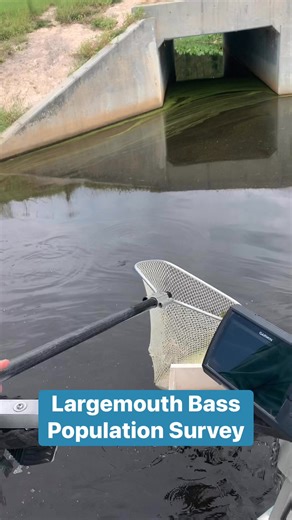 Contact us to get your pond surveyed! #perfectpond #pondpros #pondmanagement | TLC Perfect Pond