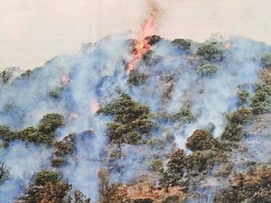 PGE may shut off power to prevent fires: Here’s what you need to do at home