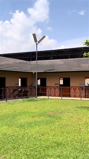Exploring Horse Riding in Uganda with Triplets Ghetto Kids